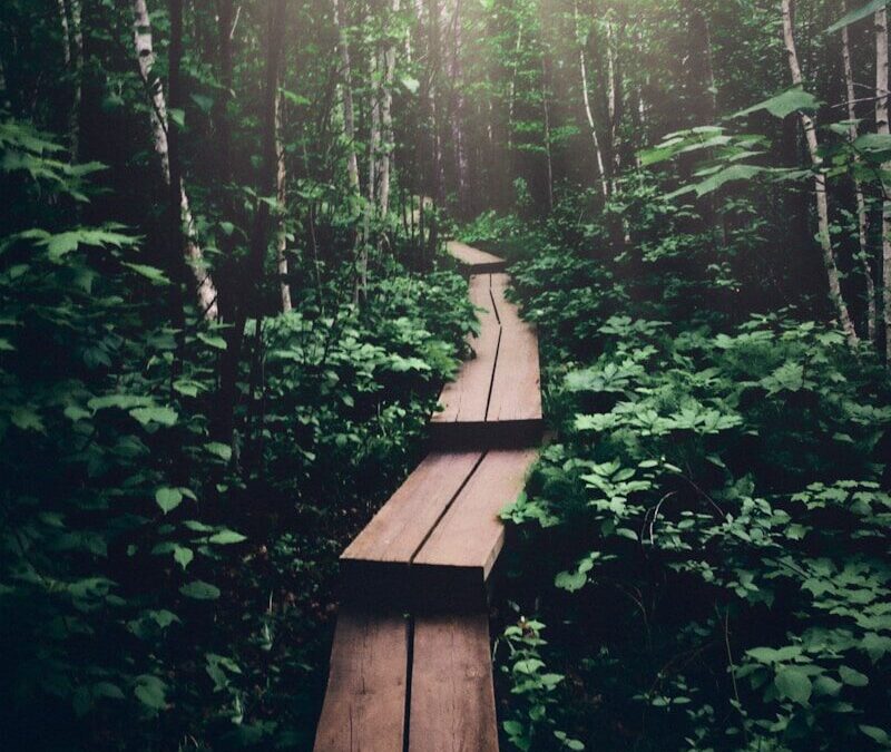 S&rsquo;affranchir du regard de l&rsquo;autre – Le chemin vers soi